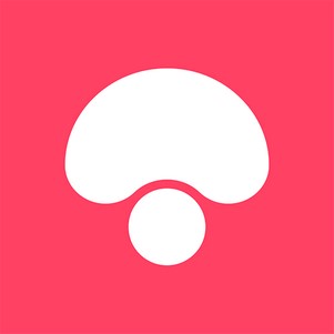 蘑菇街女装最新款