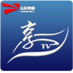 ɽ������ipad