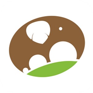 九百岁(健康服务)