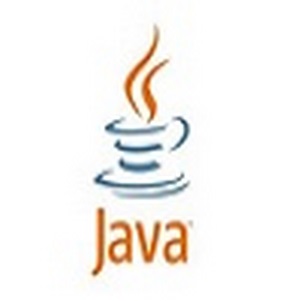 Java SE Development Kit 16