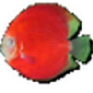 ����๦��ʱ������