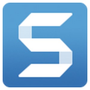 snagit13