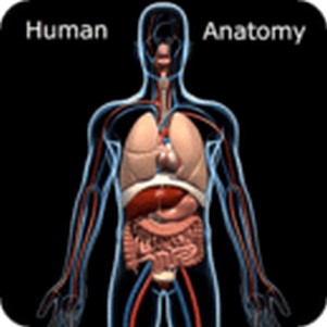 Human Anatomy Atlas 2017 Edition