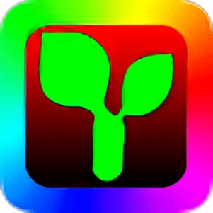 �����plus�����ֻ�����