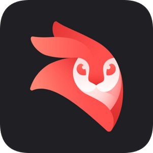 videoleap pc