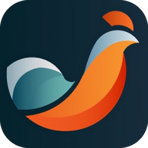 ű