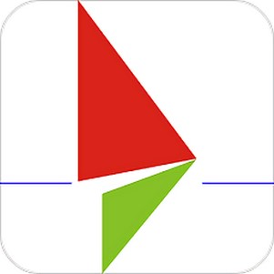 ricam�г���¼��