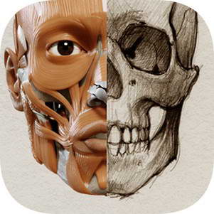 3danatomyforartist��׿