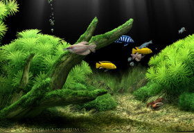 Dream Aquarium