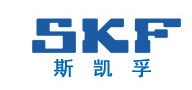 SKF˹ڹ