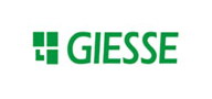 GIESSE˹