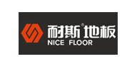 NICE˹