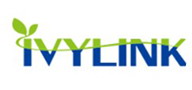 IVYLINK����