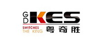 KES粤奇胜官网