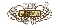 ICARUS ˹װ