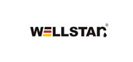 WELLSTARΨ˹