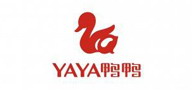 ѼѼYAYA