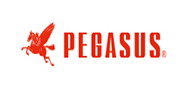 PEGASUS��������