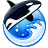 Orca