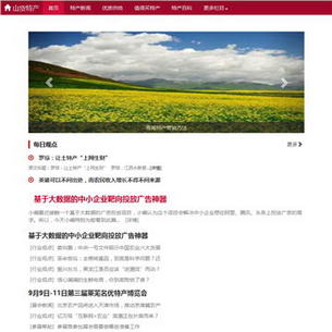 ɽ��������