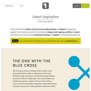 Typ.io
