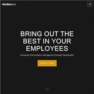 IActionable