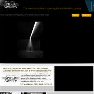 TheSpiderAwards