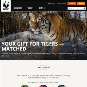 WildFinder