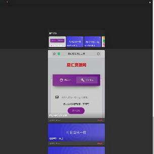 ̳