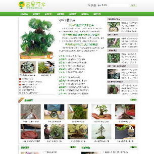 辰