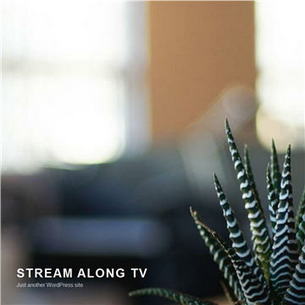 StreamAlongTV