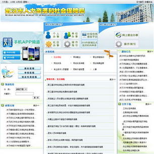 武汉市人力资源和社会保障服务网站