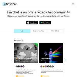 TinyChat