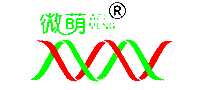 ΢