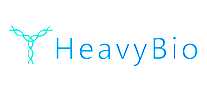HeavyBiow\ԇ