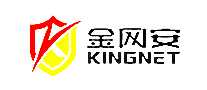 金网安网络安全