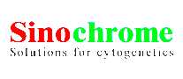 Sinochromeҽе