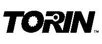 ͨTORINǧﶥ