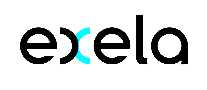 EXELAܛ_l˾