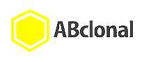 Abclonal医药用品