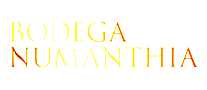 BODEGA NUMANTHIA红酒