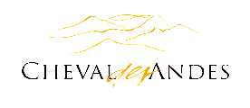 Cheval des Andes红酒