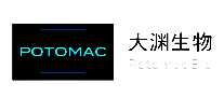 Ԩ