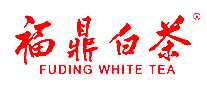 福鼎白毫银针茶