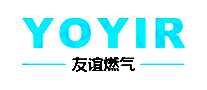 友谊燃气可燃气体报警器