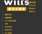 WILLS-ʿ