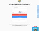 四川省国家税务局网上办税服务厅